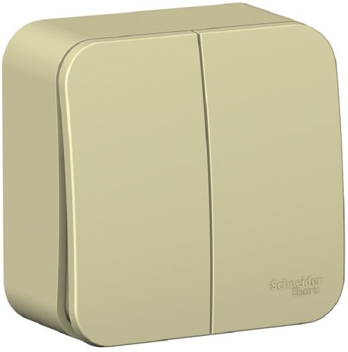 Выключатель накладной Systeme Electric Blanca 2-кл. бежевый фото Выключатель накладной Systeme Electric Blanca 2-кл. бежевый картинка